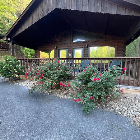 Beary Tale! Your Happily Ever After Starts Here! Sevierville Zewnętrze zdjęcie